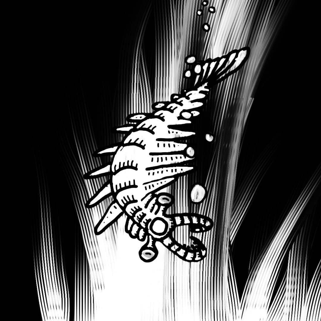 Anomalocaris sketch